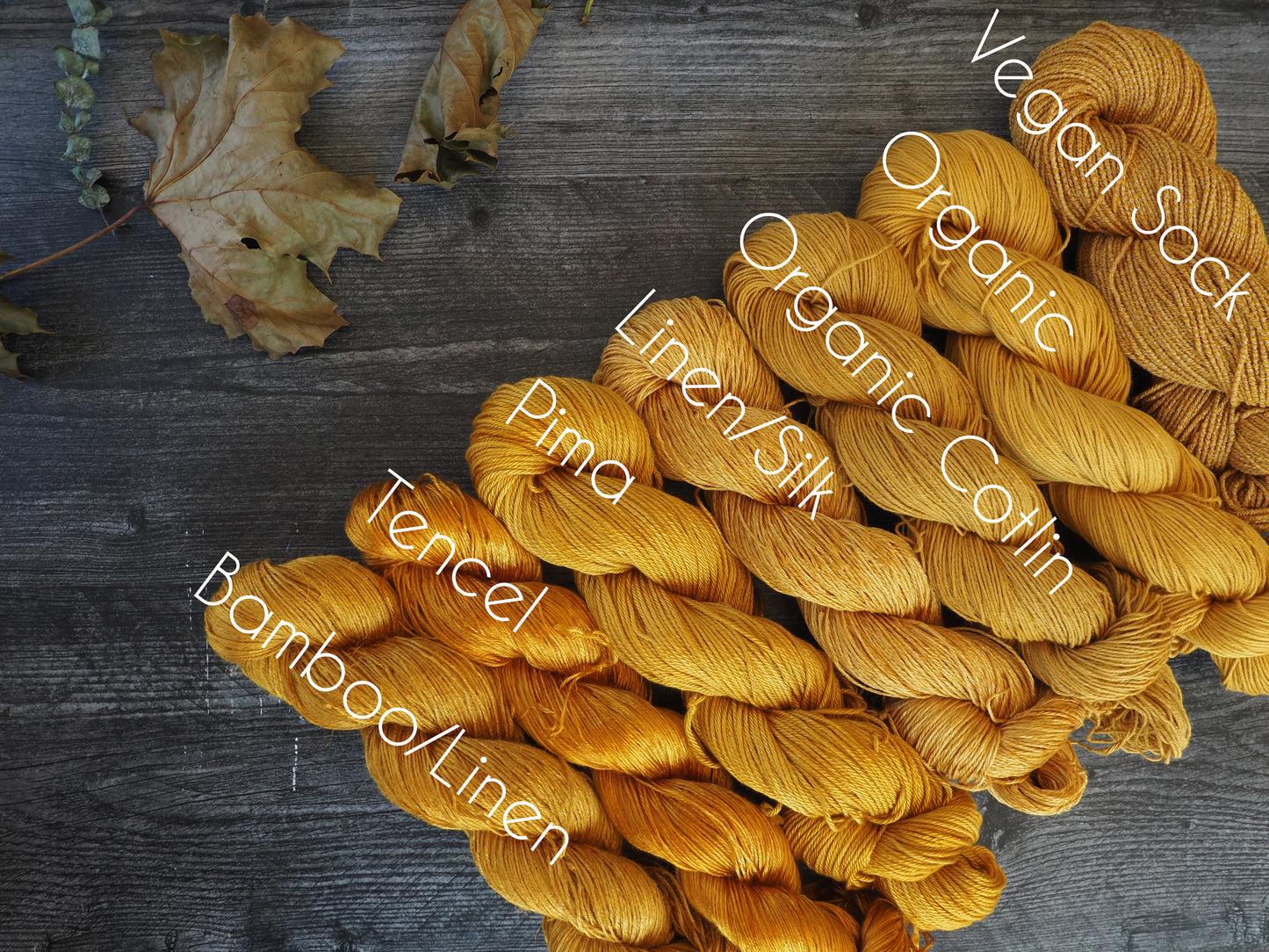 Foragers 25g and 50g skeins - *Please allow 4 weeks for dyeing*